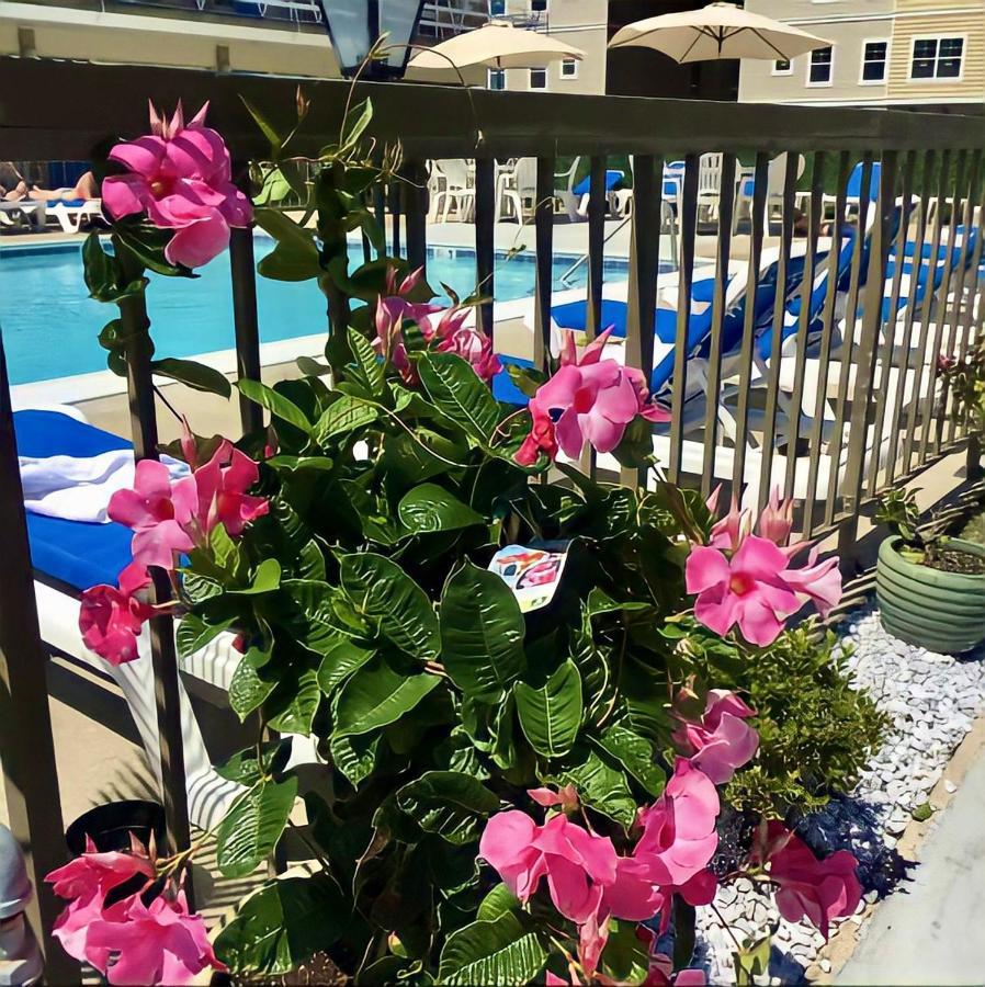 وايلدوود كريست Beach Colony Motel المظهر الخارجي الصورة